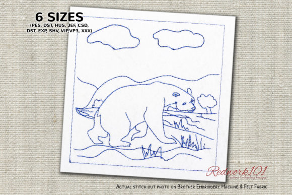 Reviewing Big Brown Bear Roaming in the Forest